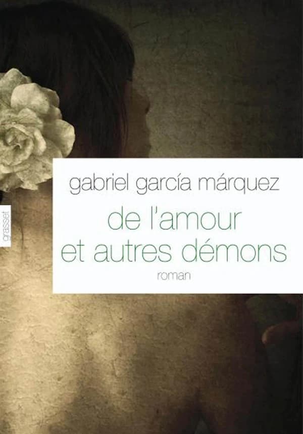 De l'amour et autres démons : roman