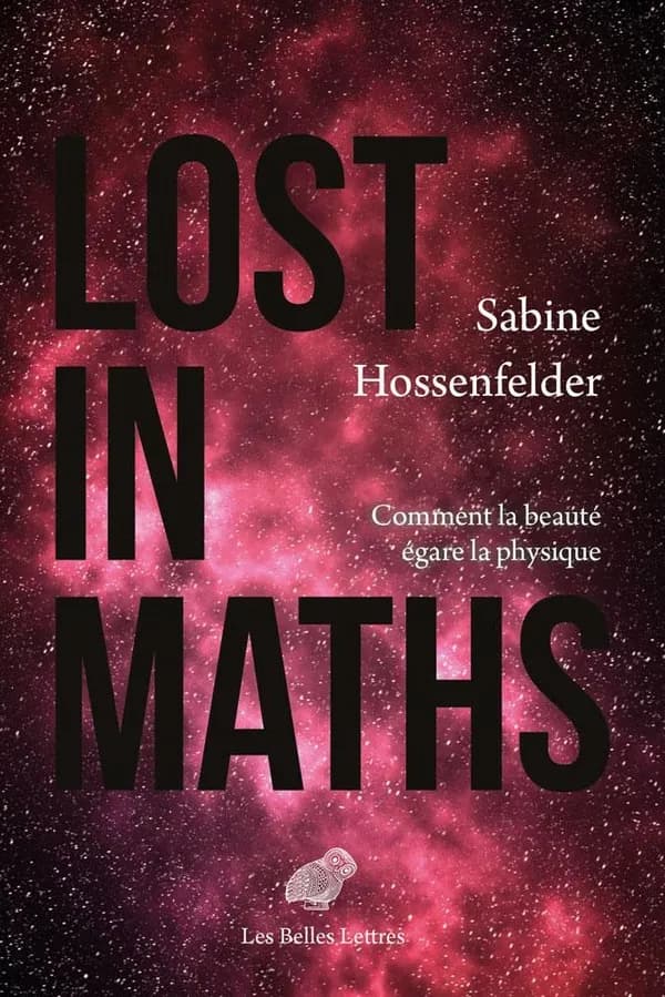 Lost in maths : comment la beauté égare la physique : Comment la Beaute Egare la Physique