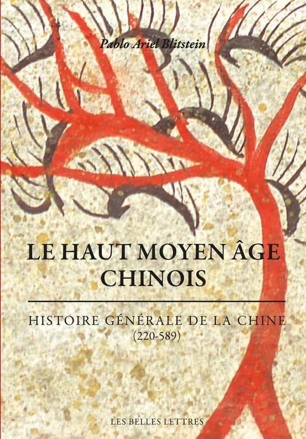Le haut Moyen âge chinois : 220-589