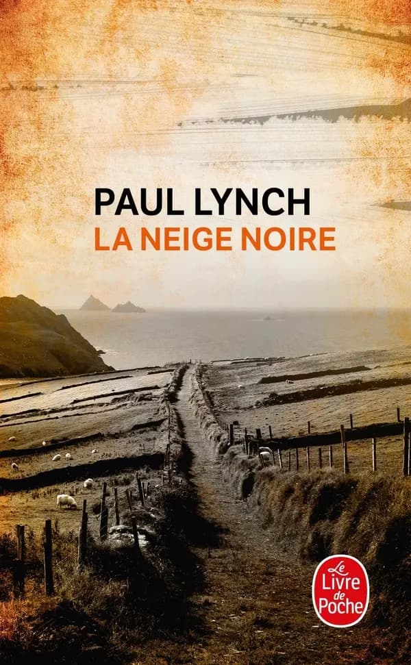 La neige noire : roman