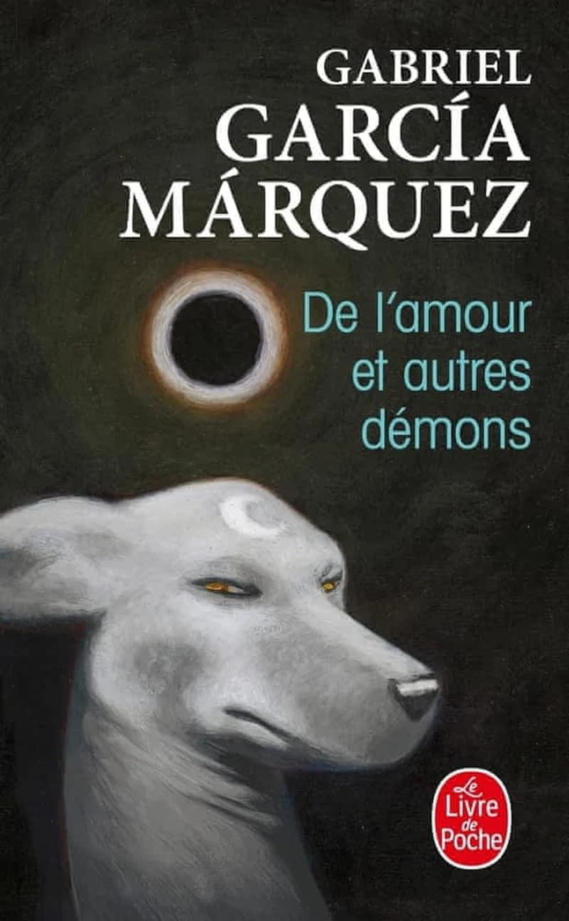 De l'amour et autres démons : roman