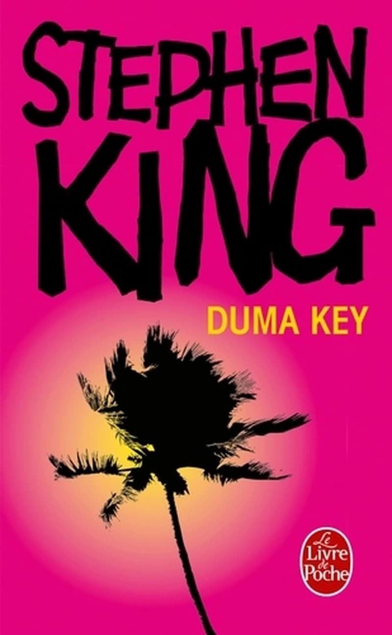 Duma Key : roman