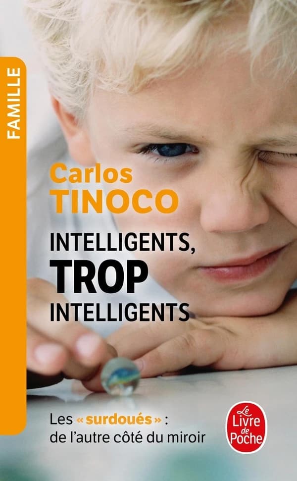 Intelligents, trop intelligents: les surdoués, de l'autre côté du miroir