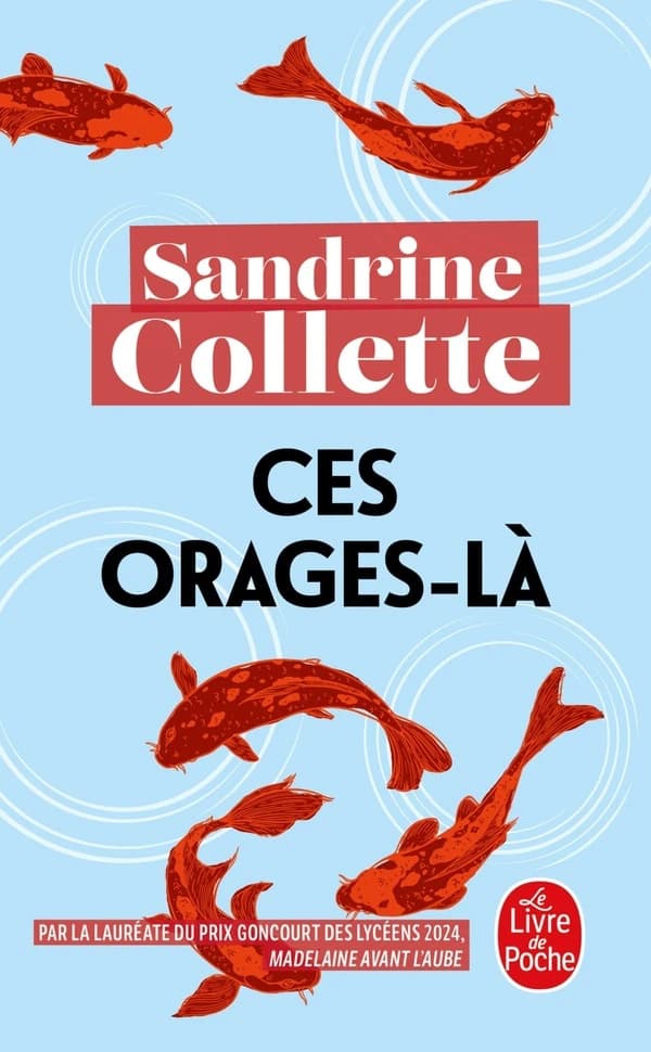 Ces orages-là : roman