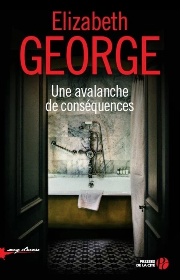 Une avalanche de conséquences : roman