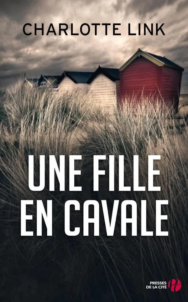 Une fille en cavale : roman