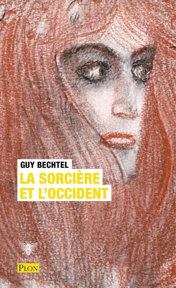 La sorcière et l'Occident : la destruction de la sorcellerie en Europe des origines aux grands bûchers