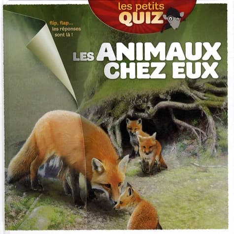 Les animaux chez eux