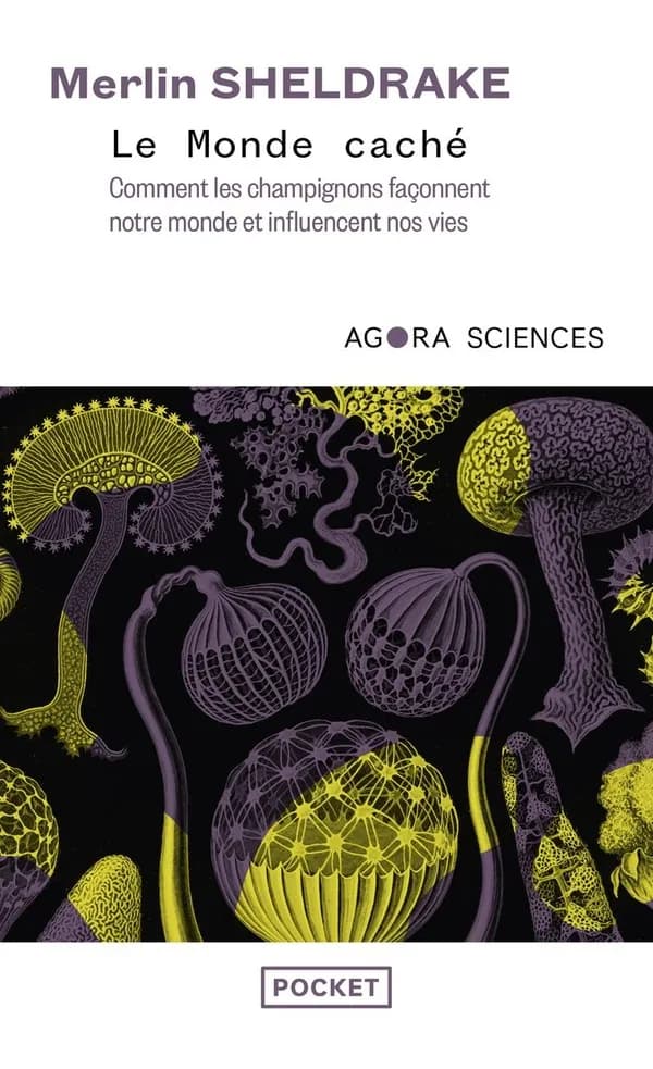 Le monde caché : comment les champignons façonnent le monde et influencent nos vies