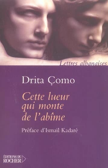 Cette lueur qui monte de l'abîme : récit