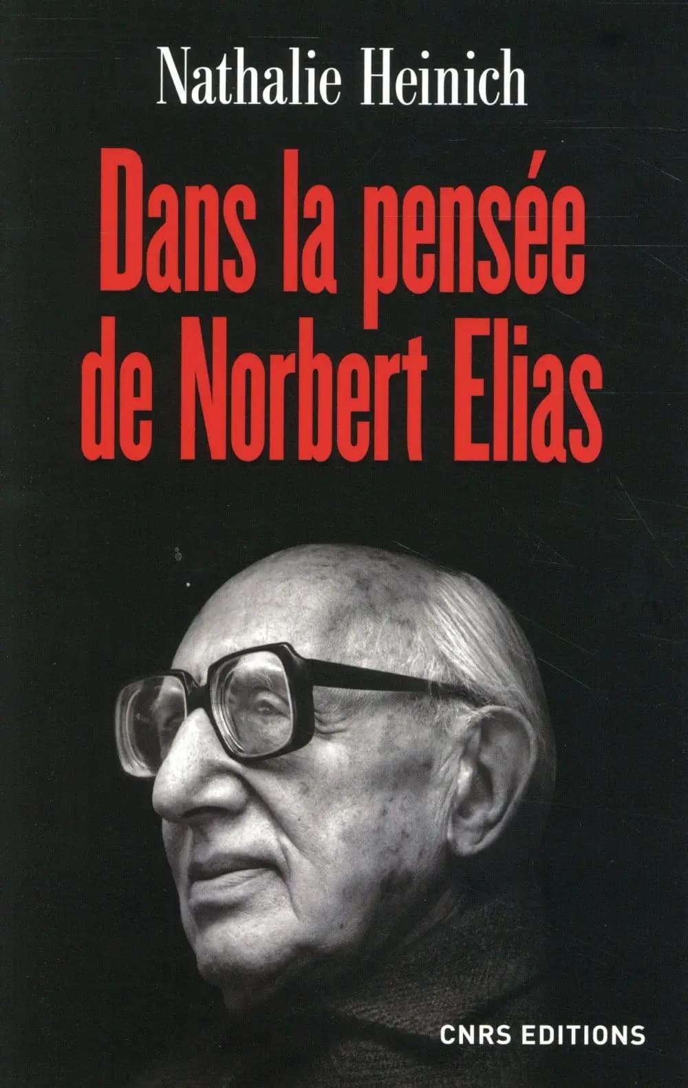 Dans la pensée de Norbert Elias