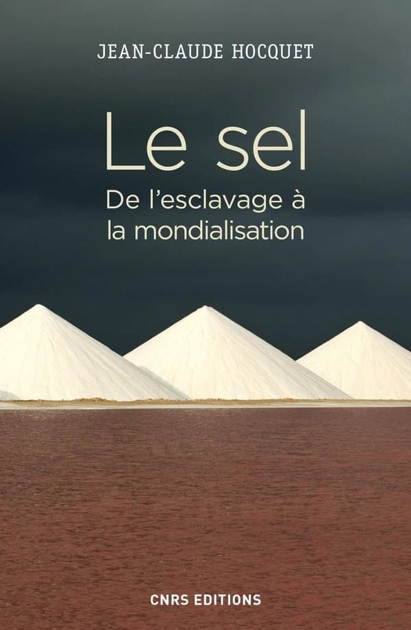 Le sel : De l'esclavage à la mondialisation