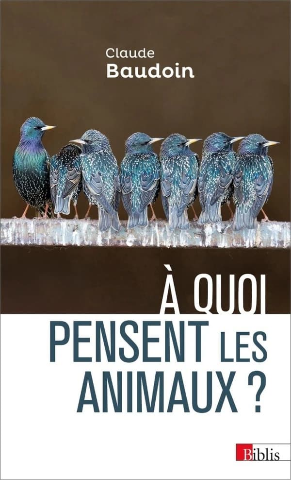 À quoi pensent les animaux ? : comportements, cognition, émotions