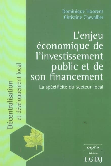L'enjeu économique de l'investissement public et de son financement : la spécificité du secteur local
