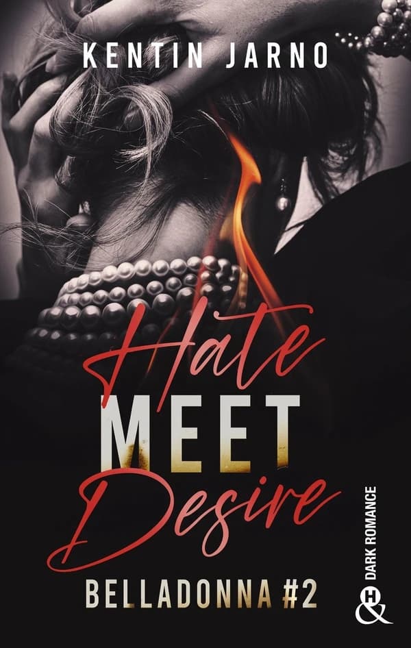 Hate meet desire : roman