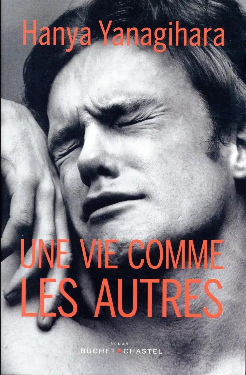 Une vie comme les autres : roman