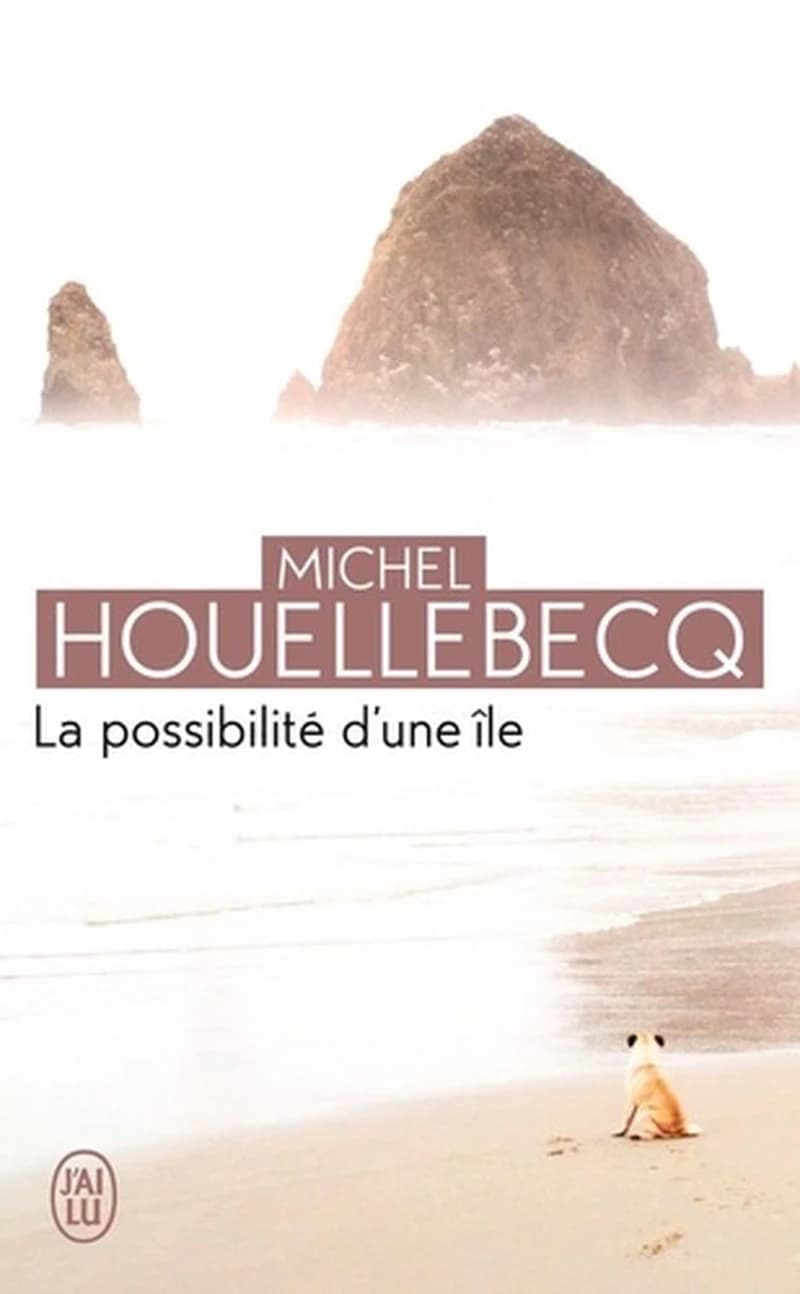 La possibilité d'une île : roman