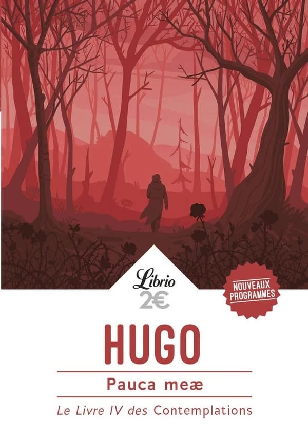 Pauca meae : le livre IV des "Contemplations"