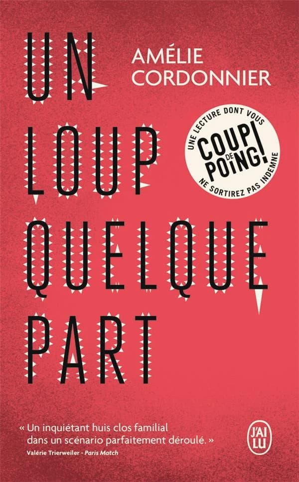 Un loup quelque part : roman