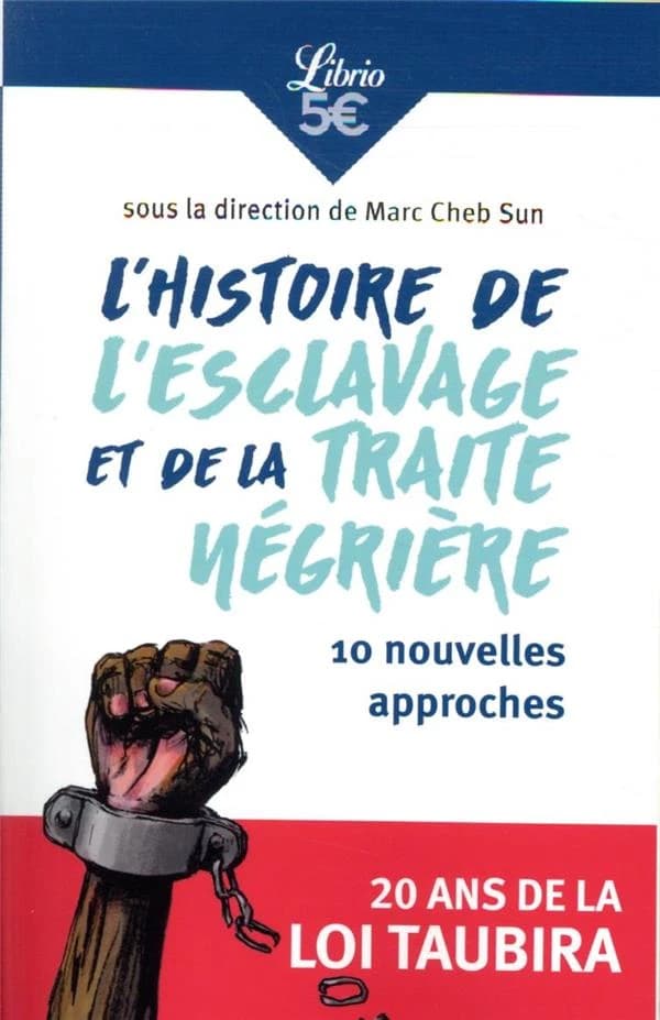 L'histoire de l'esclavage et de la traite négrière : 10 nouvelles approches