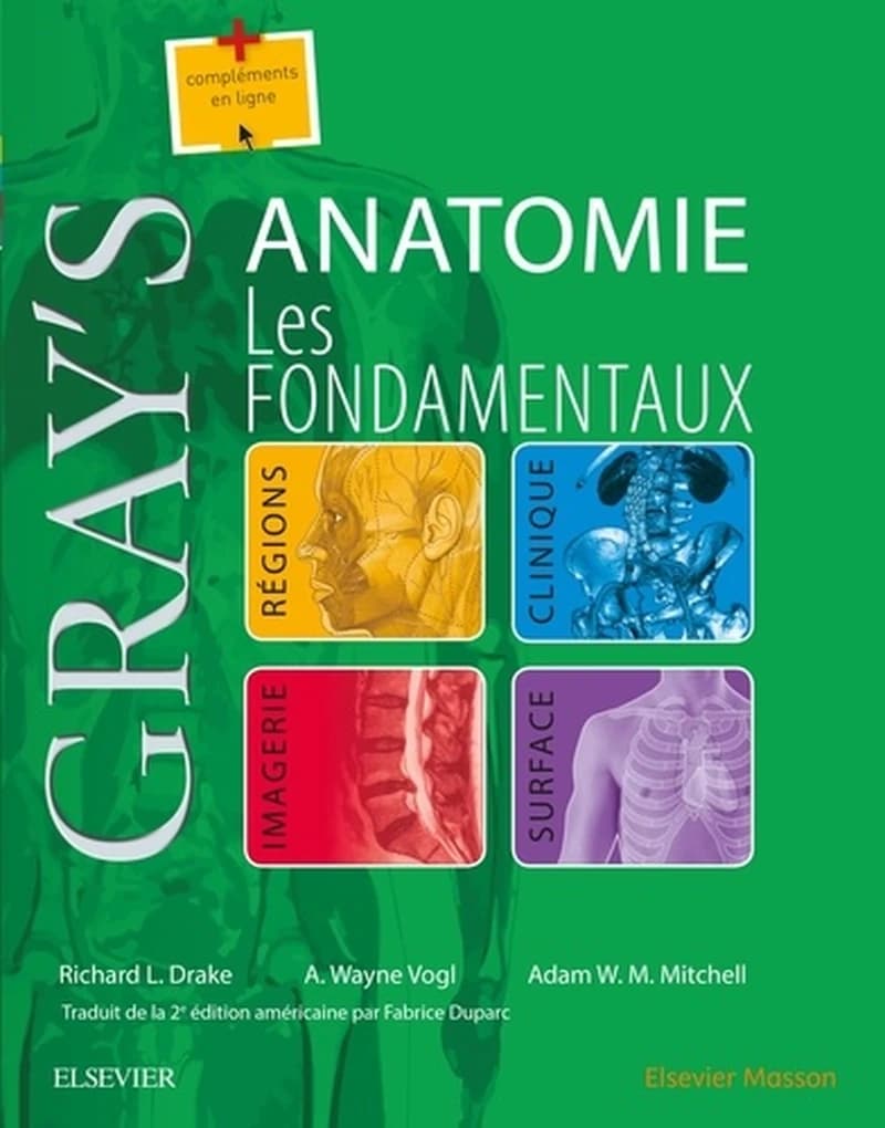 GRAY'S ANATOMIE - LES FONDAMENTAUX - CAMPUS