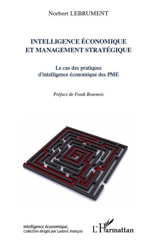 Intelligence économique et management stratégique : le cas des pratiques d'intelligence économique des PME