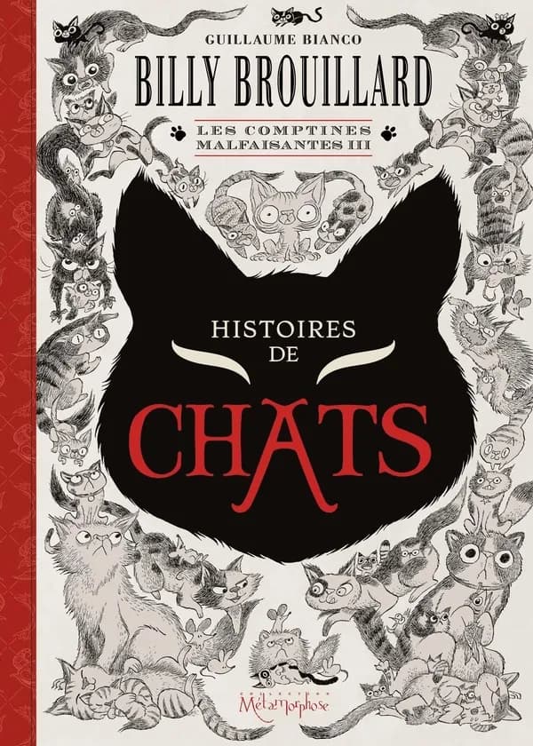 Billy Brouillard : les comptines malfaisantes. III, Histoires de chats