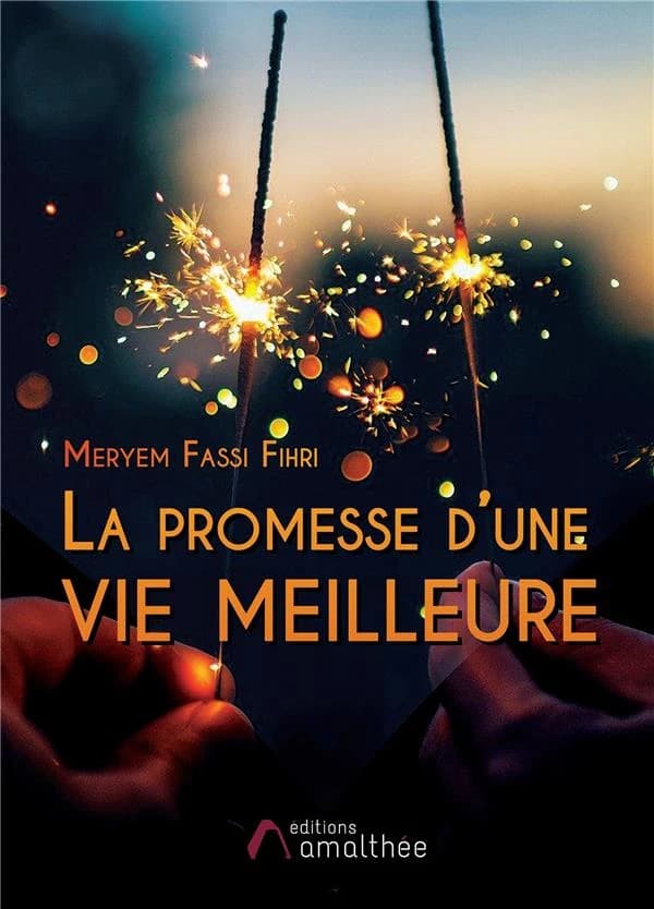 La promesse d'une vie meilleure : roman
