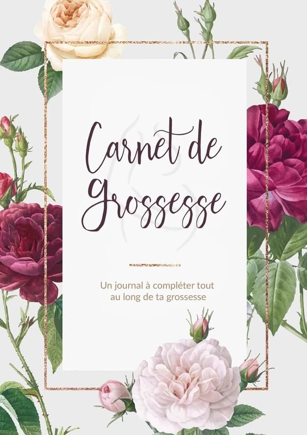 Carnet de grossesse ; un journal à compléter tout au long de ta grossesse