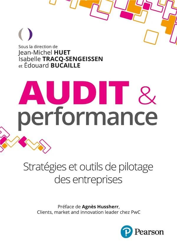 Audit et performance : stratégies et outils de pilotage des entreprises