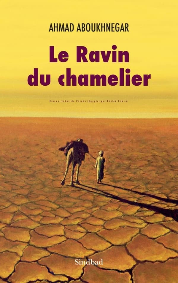 Le ravin du chamelier : roman