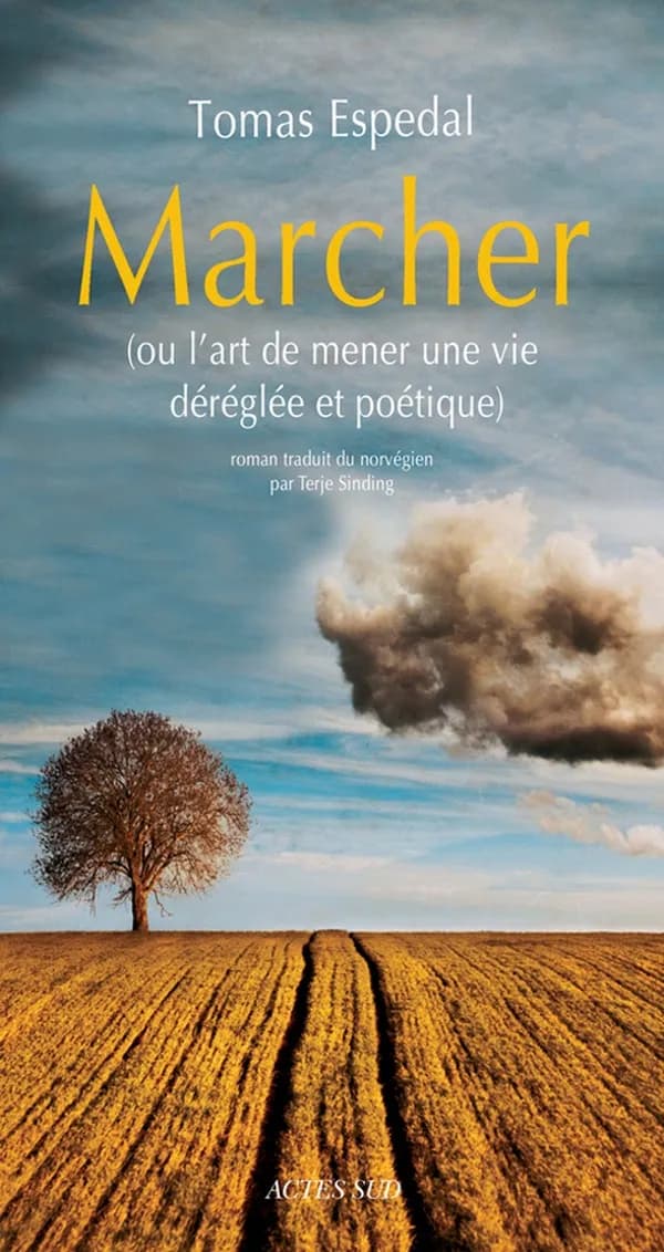 Marcher ou L'art de mener une vie déréglée et poétique : roman