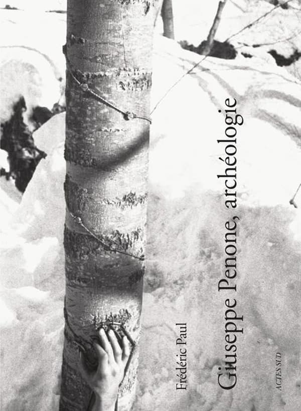 Giuseppe Penone : archéologie