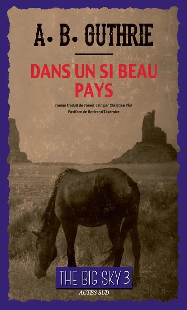 Dans un si beau pays : roman