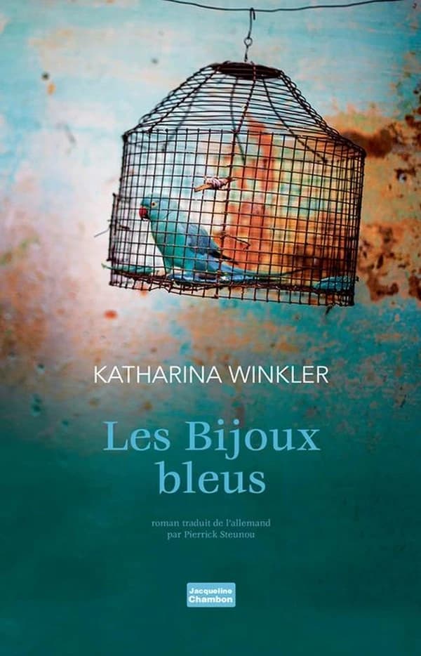 Les bijoux bleus : roman