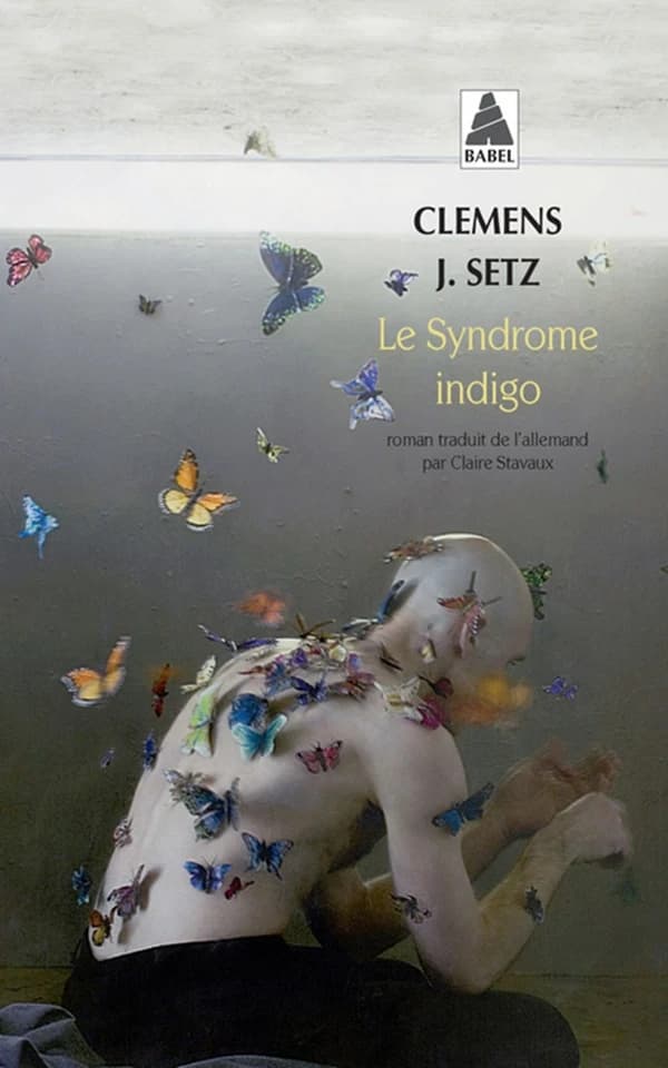 Le syndrome indigo : roman