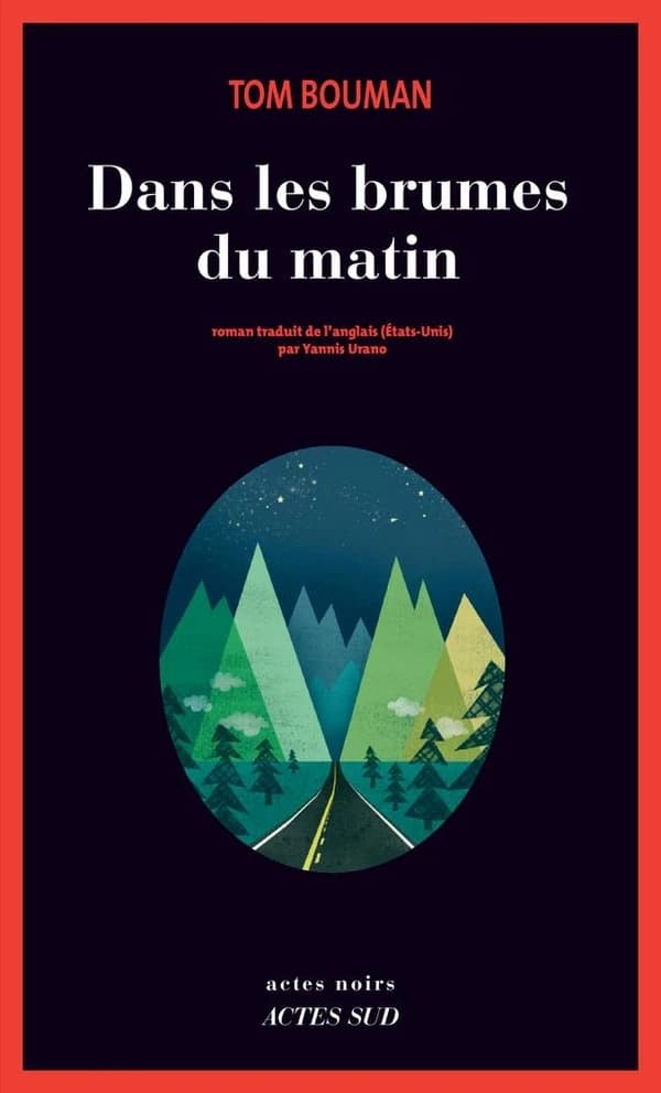 Dans les brumes du matin : roman