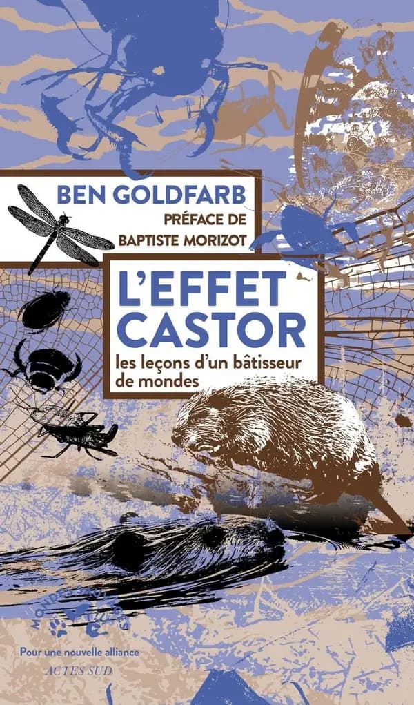 L'effet castor : les leçons d'un bâtisseur de mondes