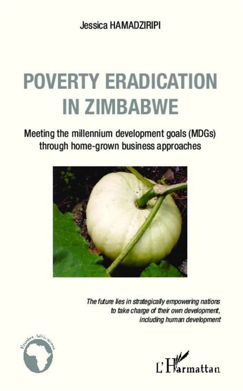 Poverty eradication in Zimbabwe : meeting the millennium development goals (MDGs) through home-grown business approaches