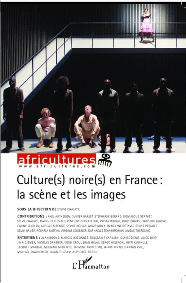 Culture(s) noire(s) en France : la scène et les images