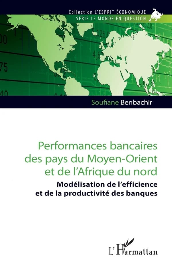 Performances bancaires des pays du Moyen-Orient et de l'Afrique du nord : modélisation de l'efficience et de la productivité des banques