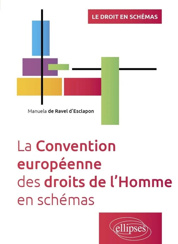 La Convention européenne des droits de l'homme en schémas