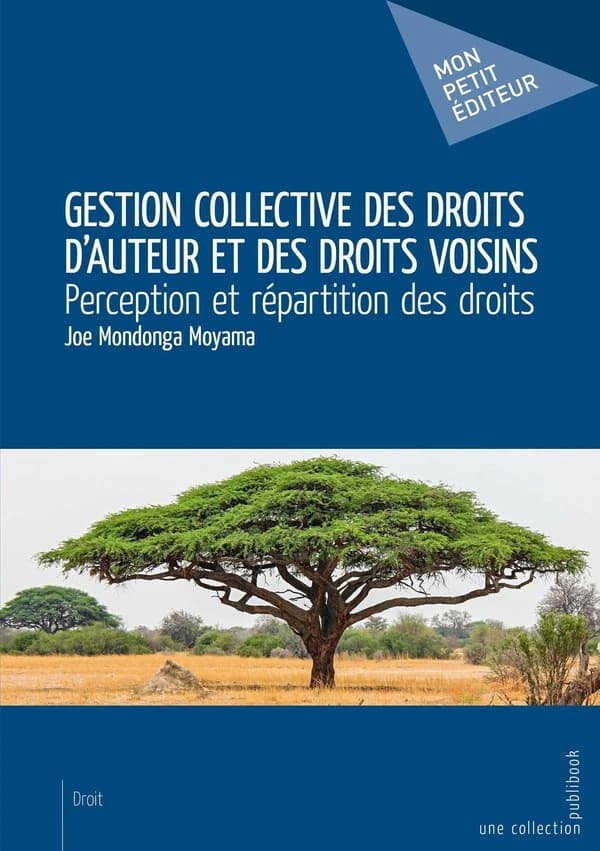 Gestion collective des droits d'auteur et des droits voisins : perception et répartition des droits