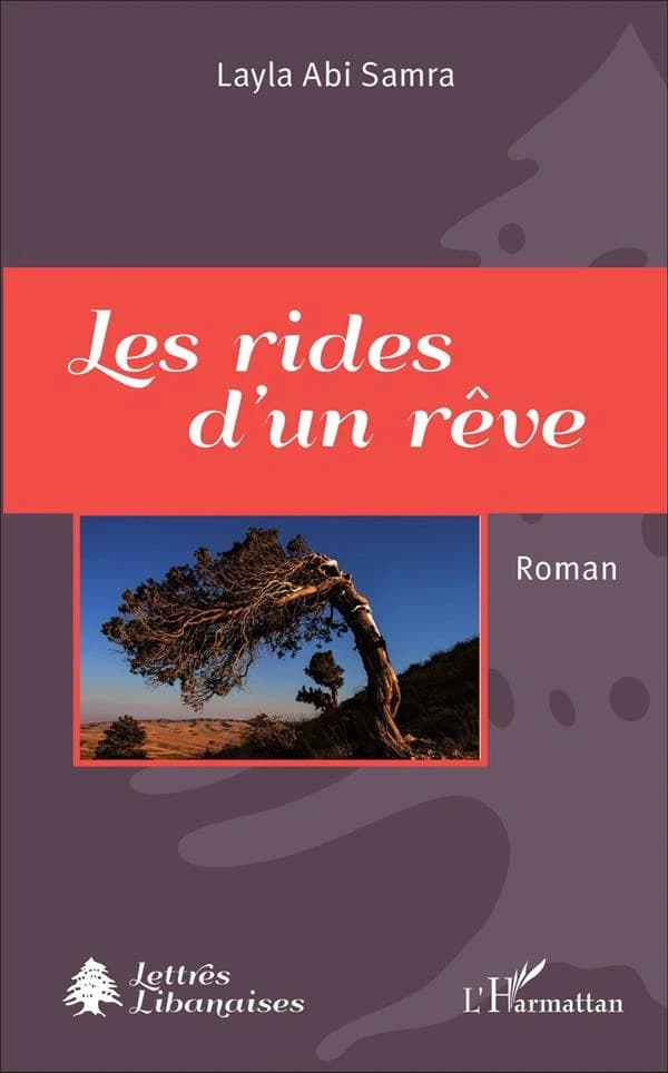 Les rides d'un rêve : roman