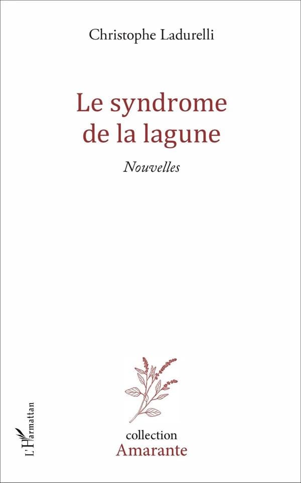 Le syndrome de la lagune : nouvelles