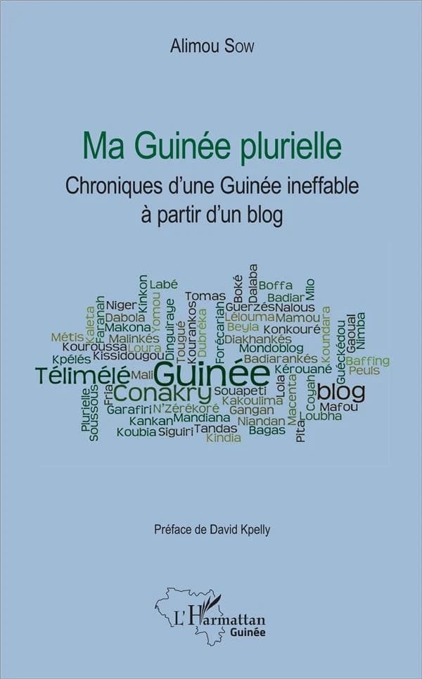 Ma Guinée plurielle : chroniques d'une Guinée ineffable à partir d'un blog