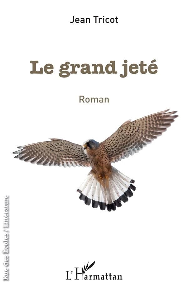 Le grand jeté : roman