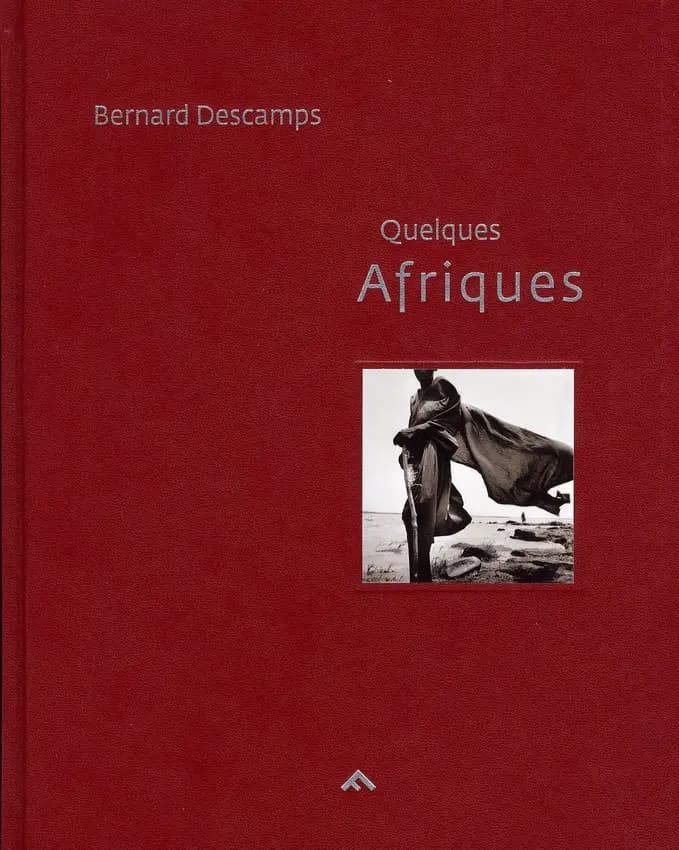 Quelques Afriques : entretien avec Brigitte Ollier