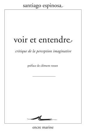Voir et entendre : critique de la perception imaginaire