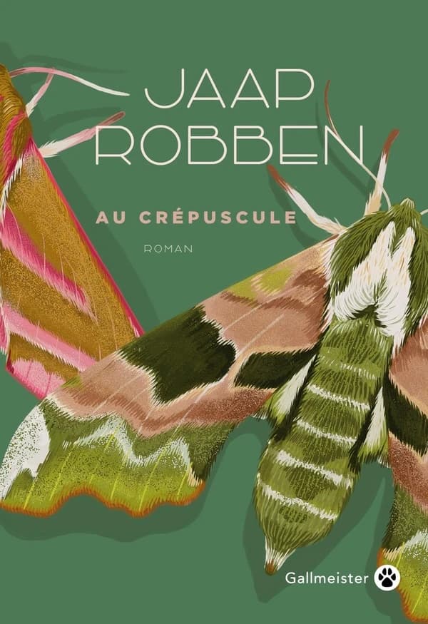 Au crépuscule : roman